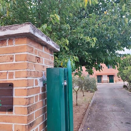Eco House San Michele Vandrehjem Borgo San Michele  Eksteriør billede