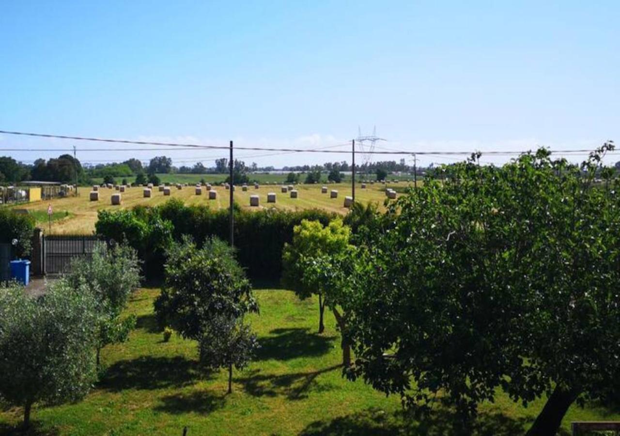 Eco House San Michele Vandrehjem Borgo San Michele  Eksteriør billede